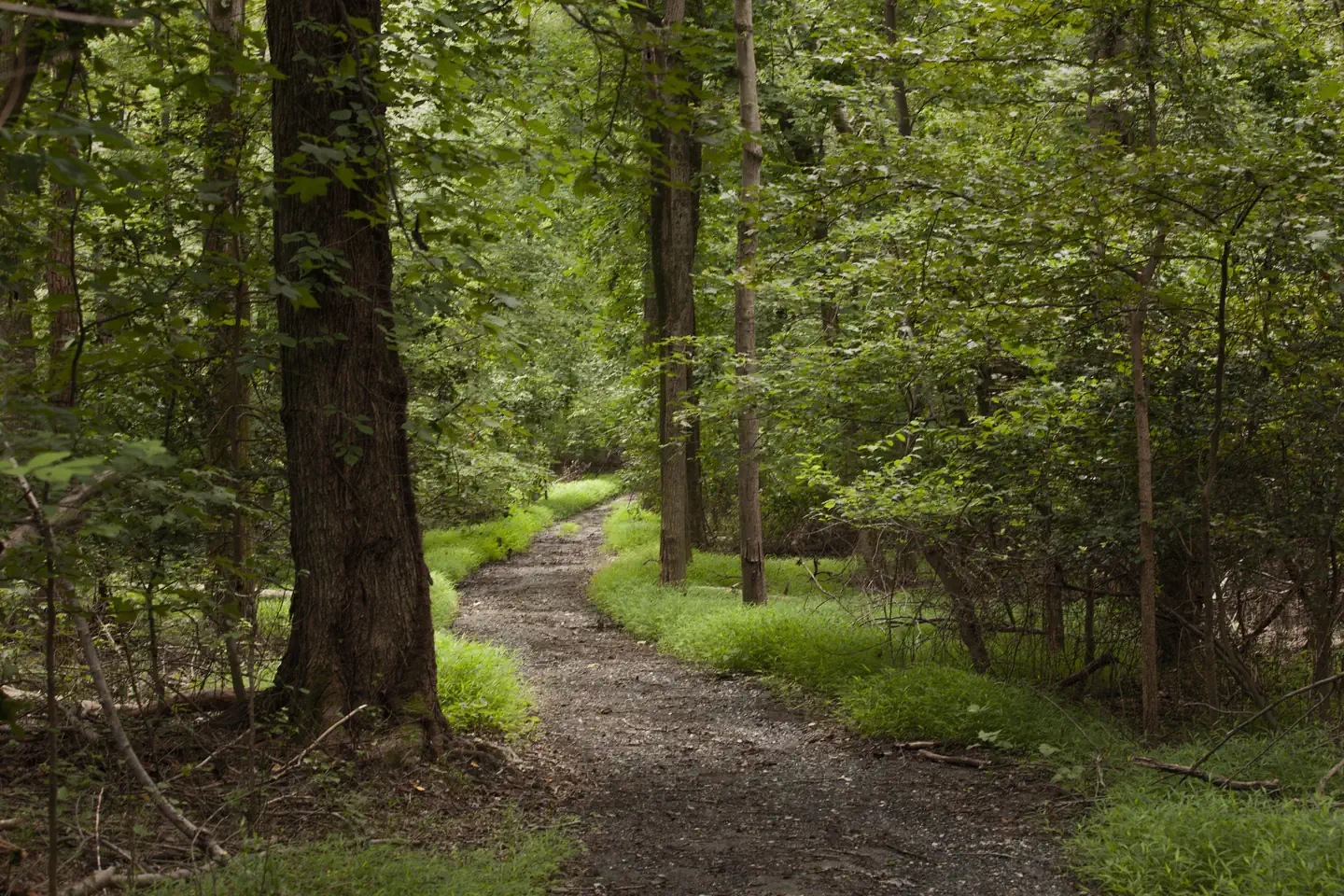 GREENBELT PARK PICNIC AREAS photo 4