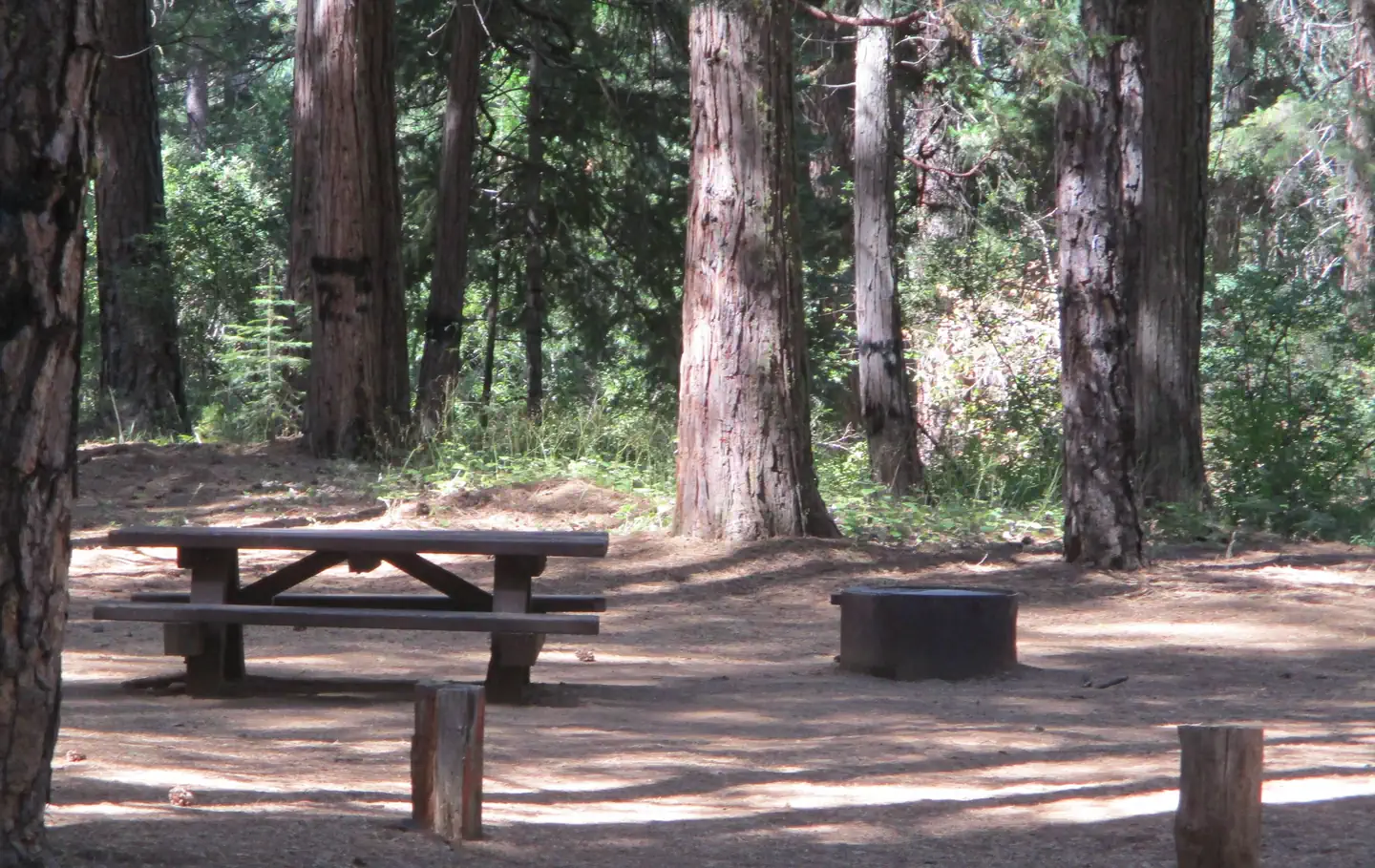 Greenville Campground photo