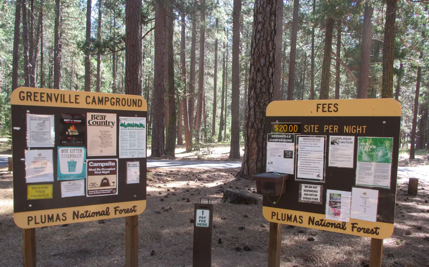 Greenville Campground photo 2