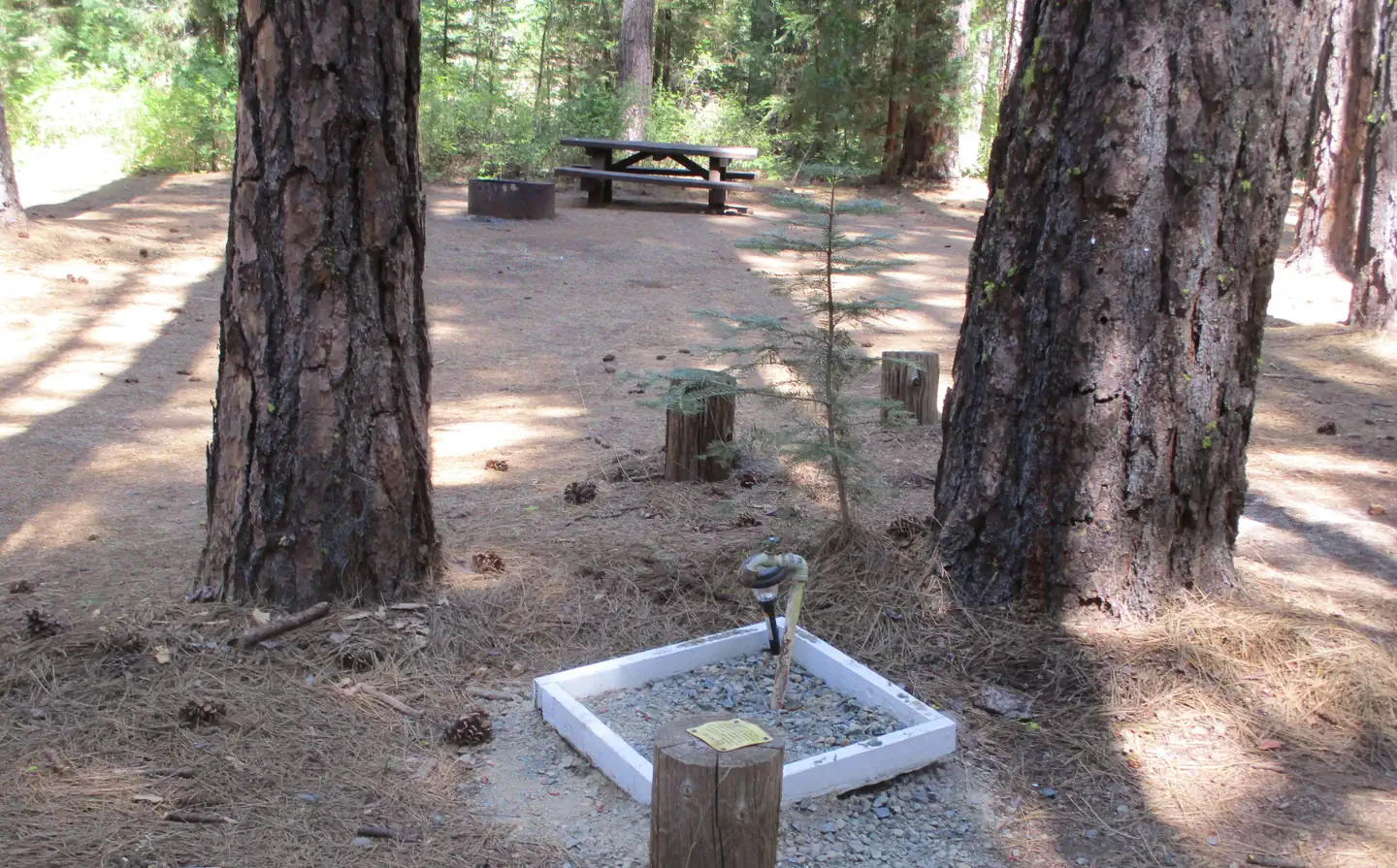 Greenville Campground photo 4