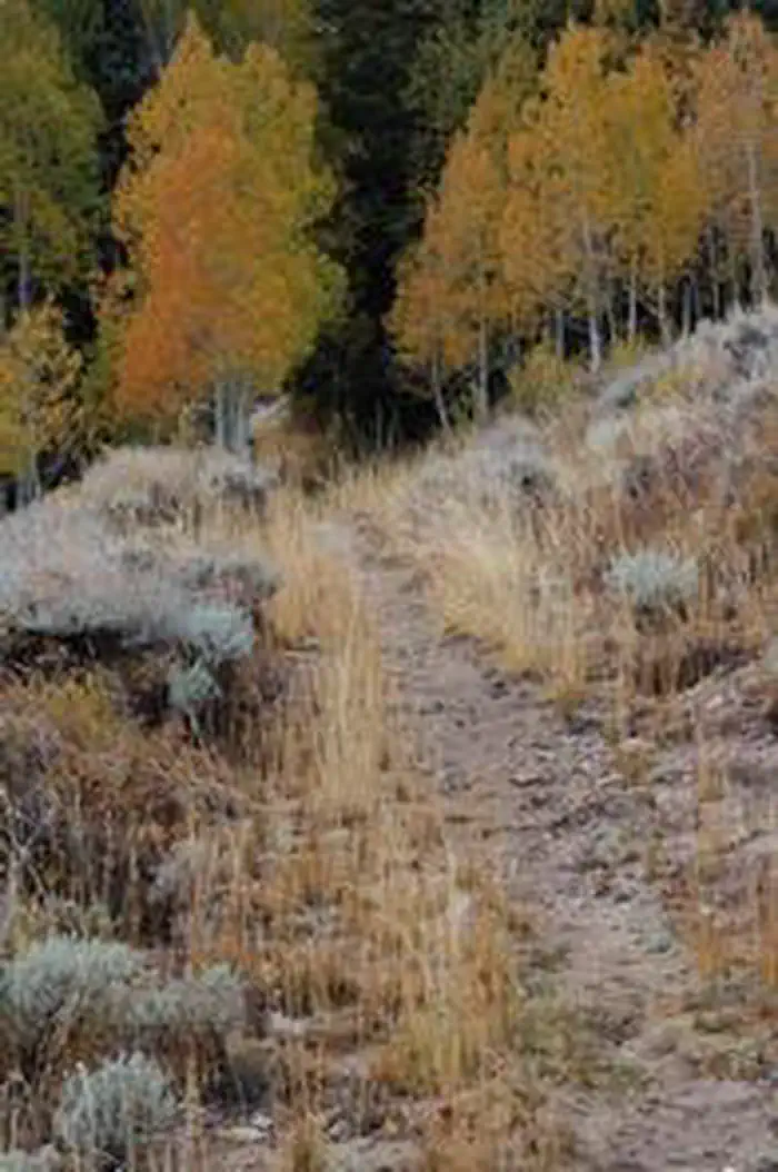 Grey Cliffs Campground photo 4