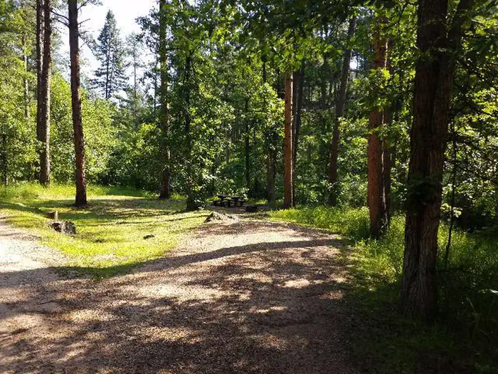 Grizzly Bear Campground photo 3