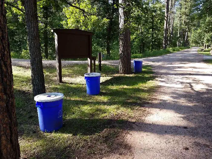 Grizzly Bear Campground photo 5