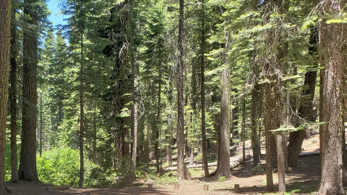 Grizzly Creek Campground (CA) photo