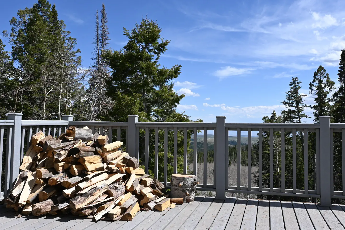 GRIZZLY RIDGE YURT photo