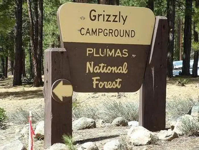 GRIZZLY photo 4