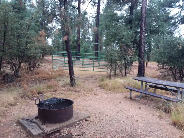GROOM CREEK HORSE CAMP photo 4