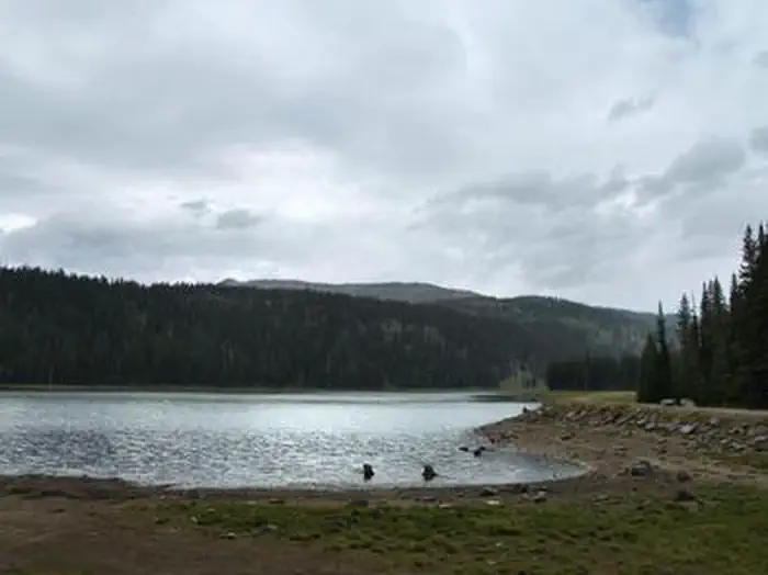 GROUSE CAMPGROUND photo 2