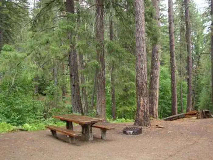 GROUSE CREEK GROUP SITE photo 4