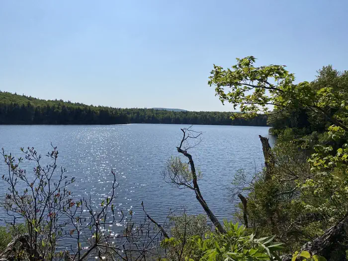 Grout Pond Campground photo 2