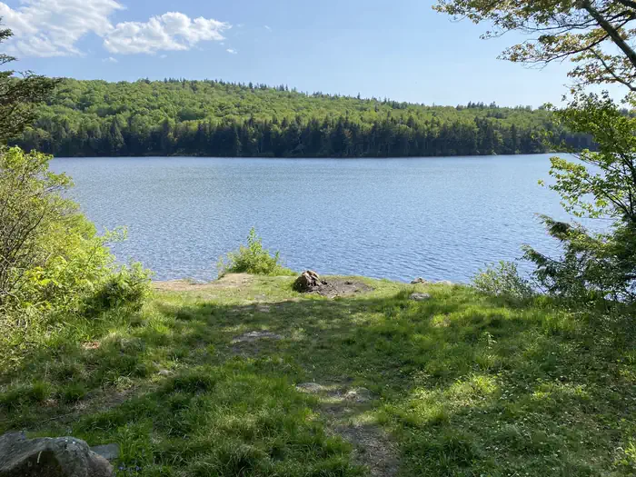 Grout Pond Campground photo 3