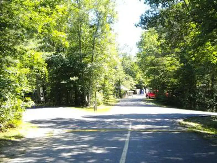 GROVE photo 5