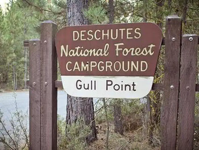 Gull Point Campground photo 3