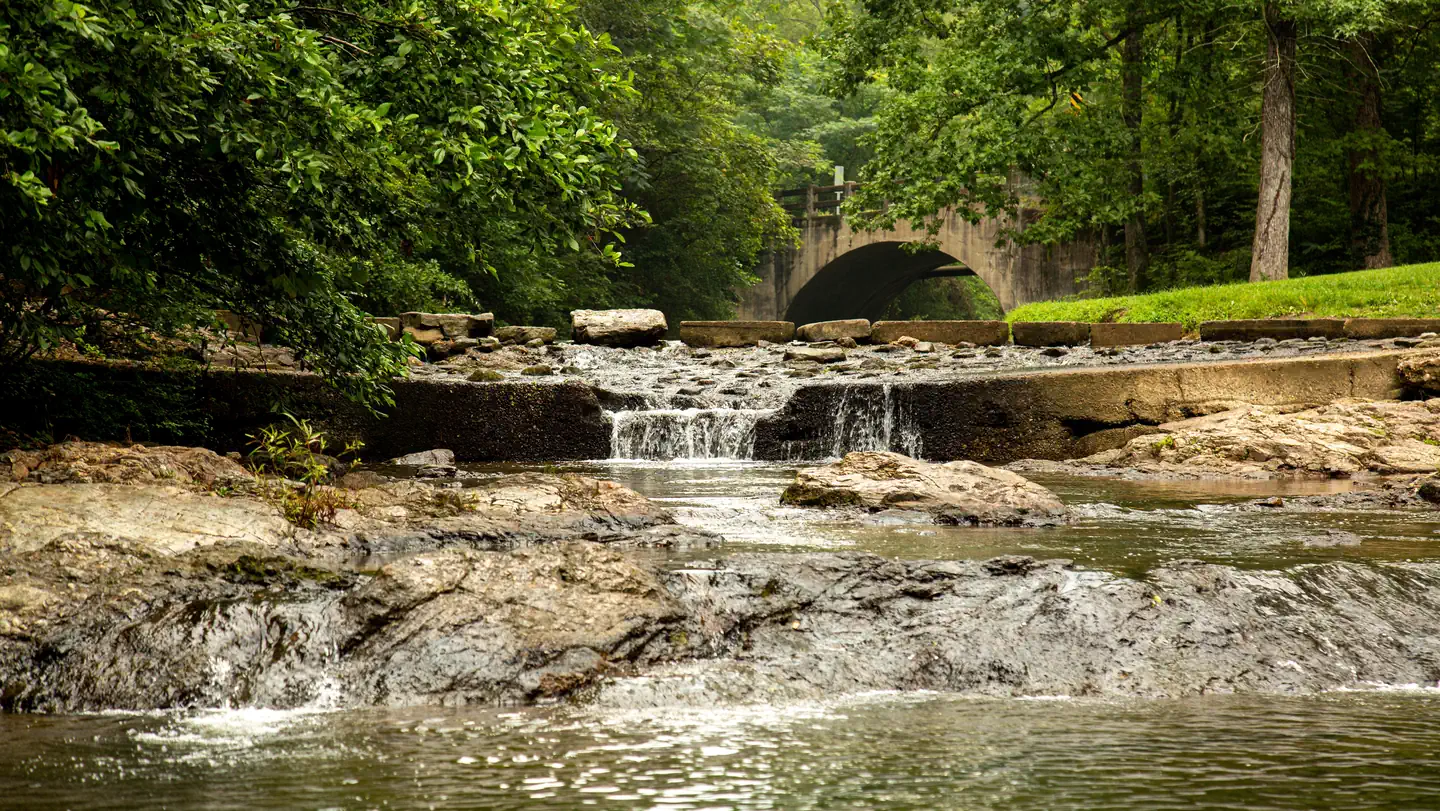 Gulpha Gorge Campground photo 2
