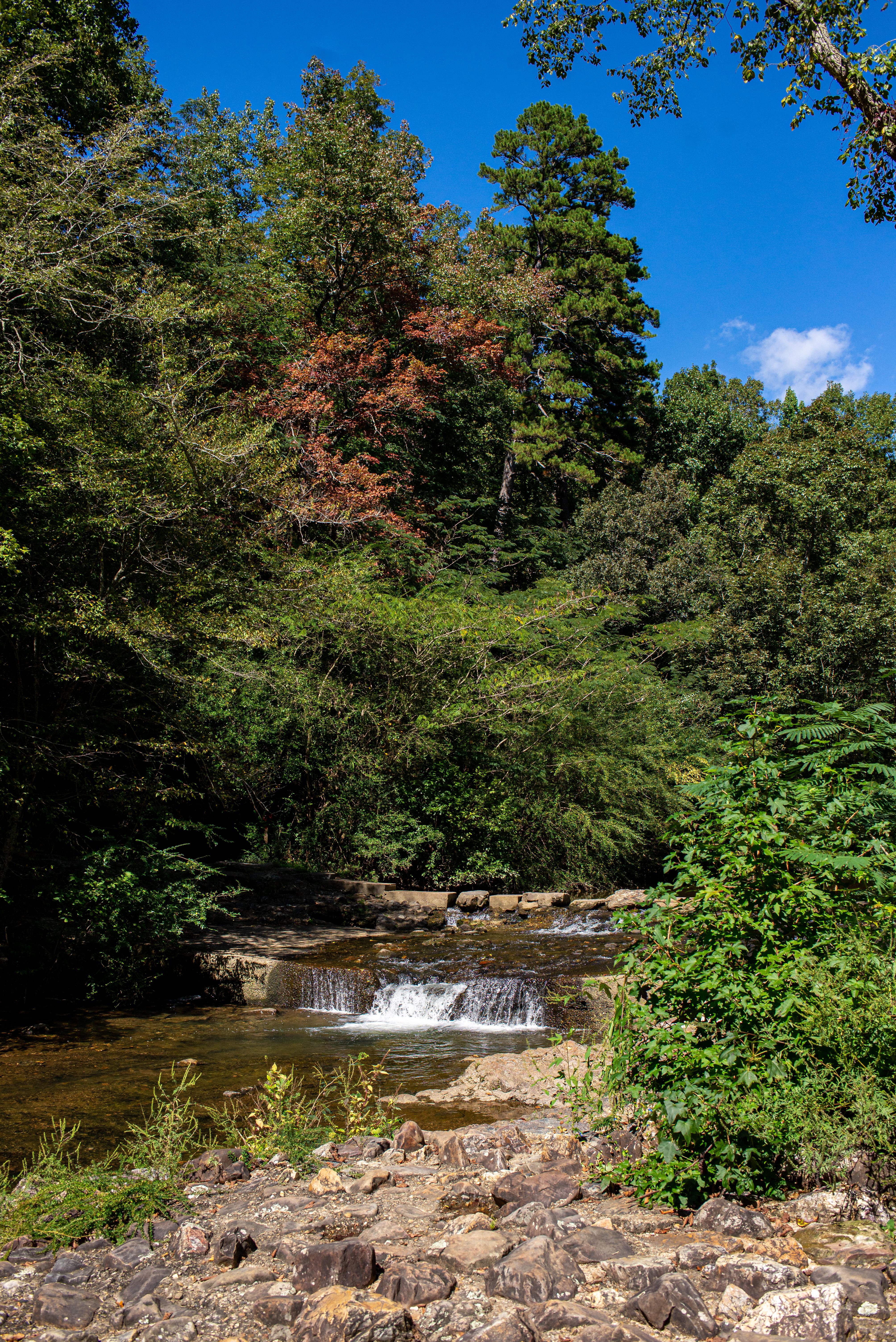Gulpha Gorge Campground photo 4