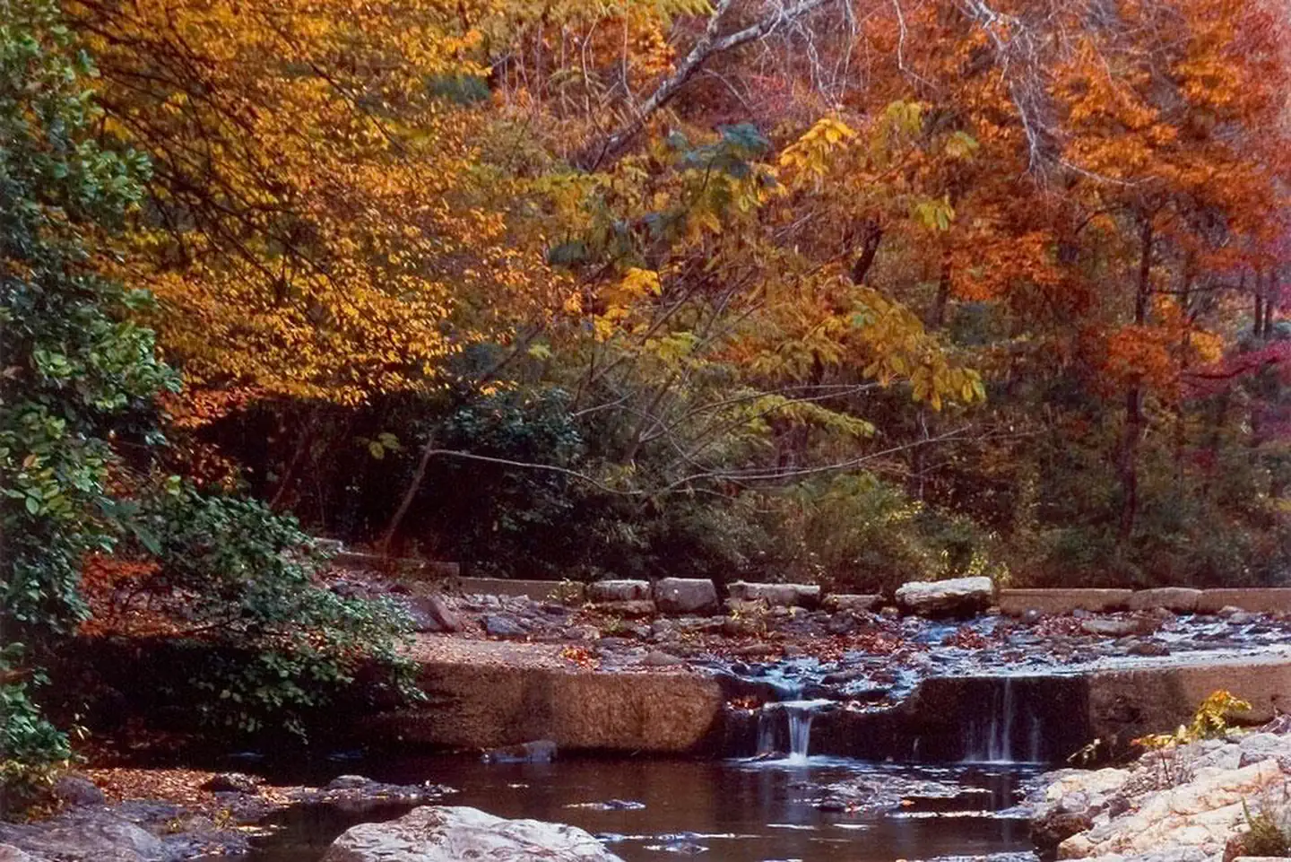 Gulpha Gorge Campground photo 5