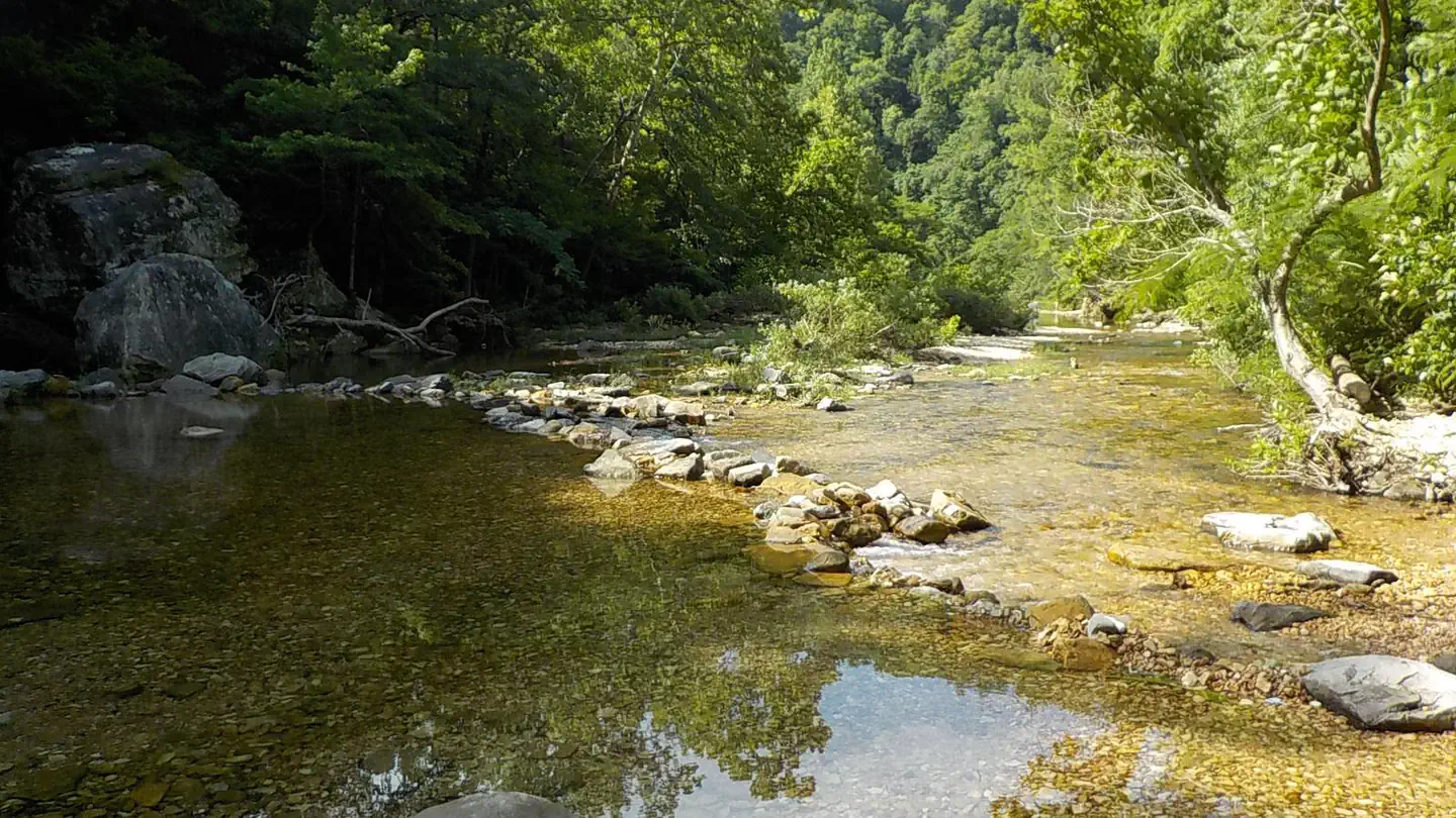 Gunner Pool Campground photo