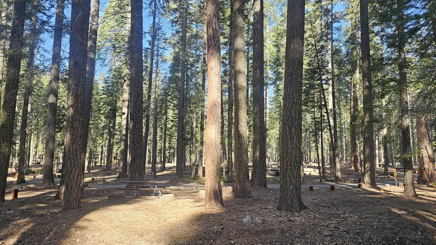 GURNSEY CREEK photo
