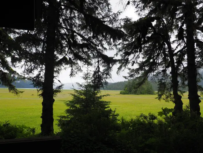 GUT ISLAND 1 CABIN photo