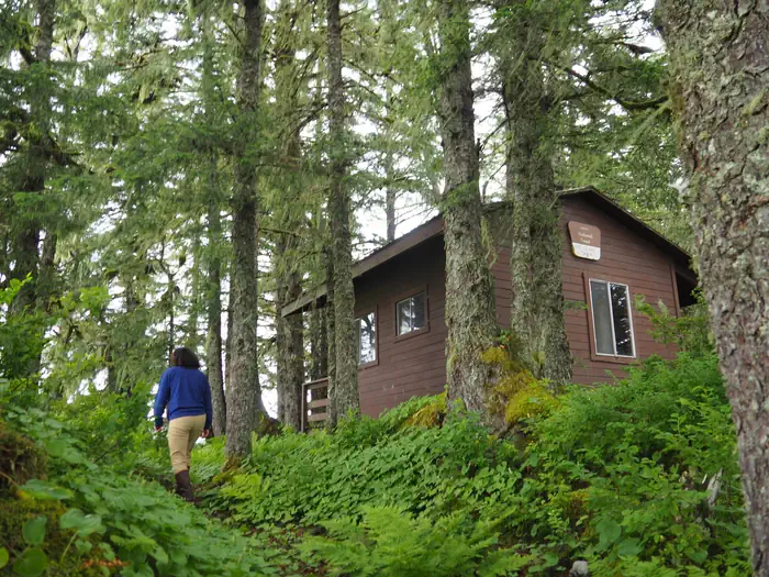 GUT ISLAND 1 CABIN photo 4