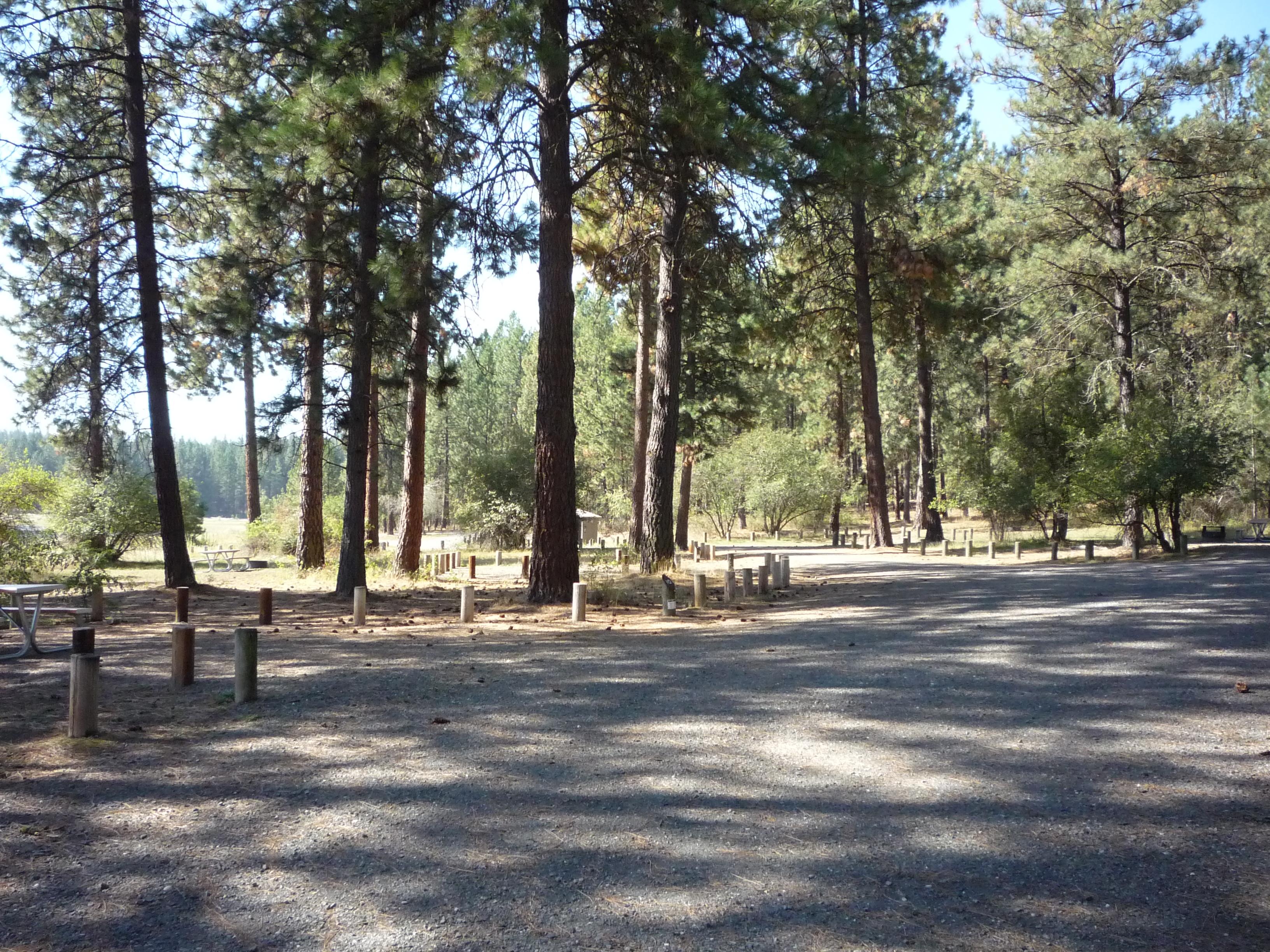 Haag Cove Campground photo 2
