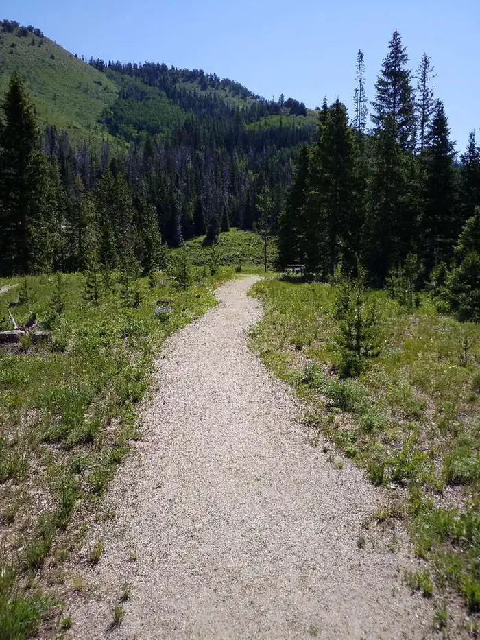 Hahns Peak Lake Campground - Medicine-Bow Routt NF (CO) photo 2