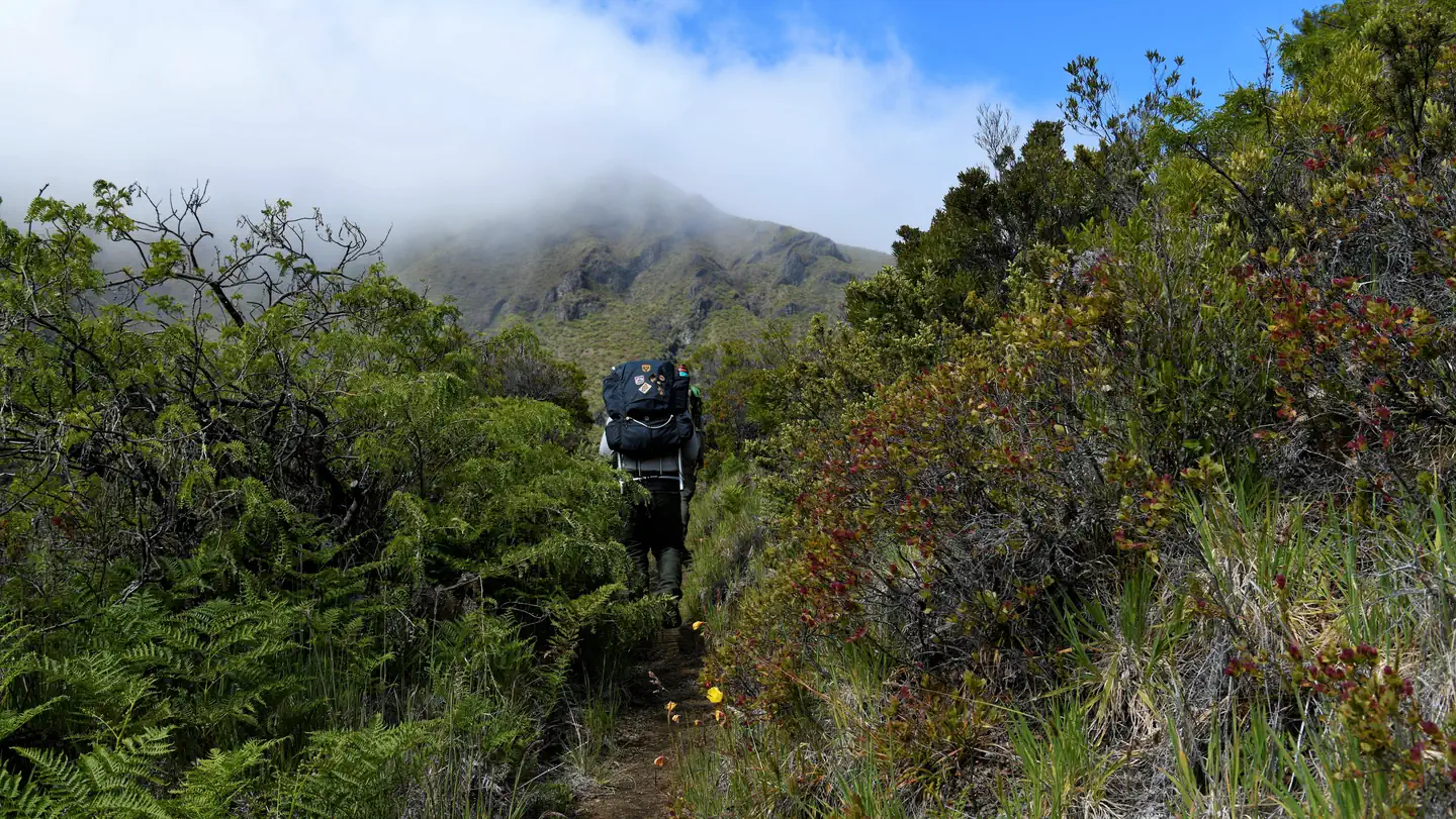 Haleakalā National Park (Wilderness Tent Permit) photo