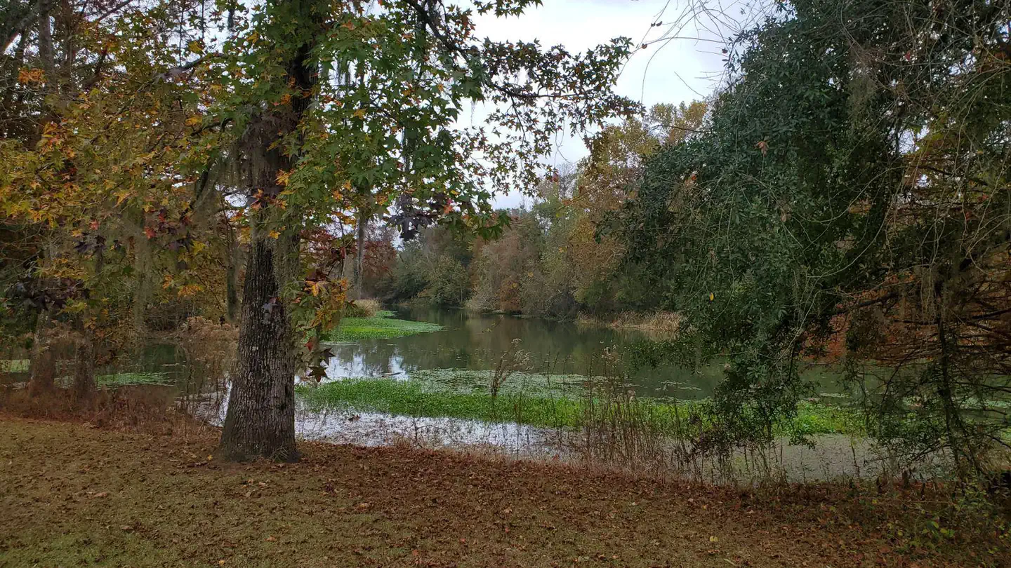 Hales Landing Park photo 2
