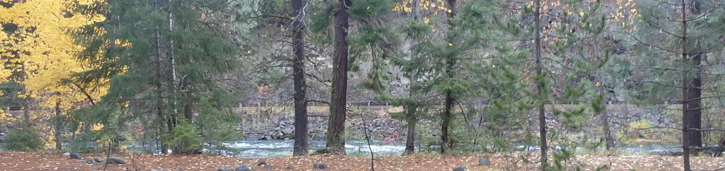 HALFWAY FLAT CAMPGROUND photo
