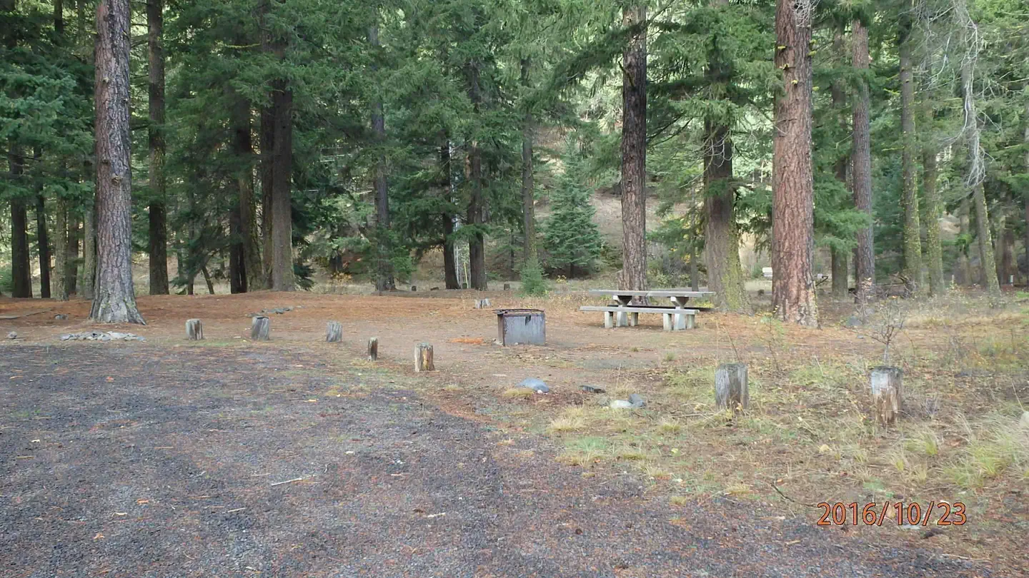 HALFWAY FLAT CAMPGROUND photo 4