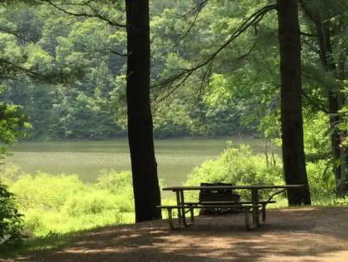 Handsome Lake Boat Access Campground photo 3