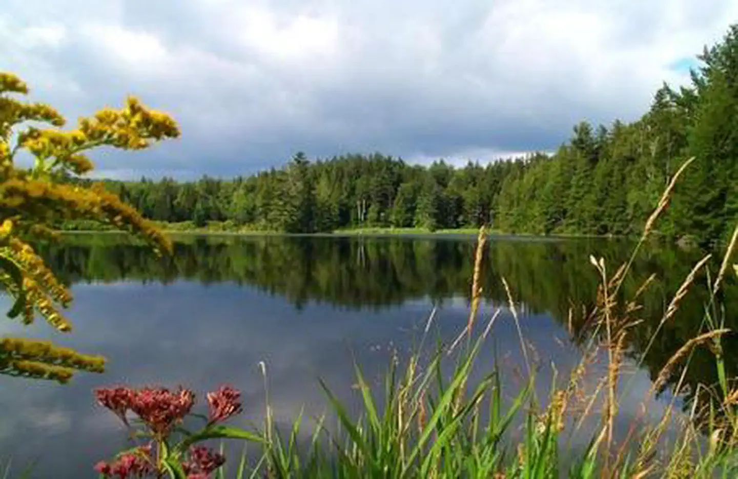 HAPGOOD POND photo