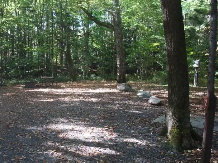 HAPGOOD POND photo 3