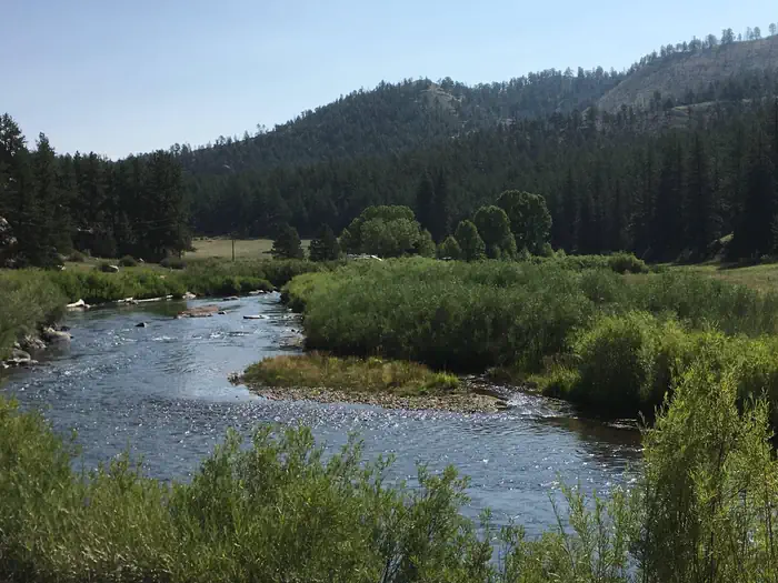 HAPPY MEADOWS photo 2
