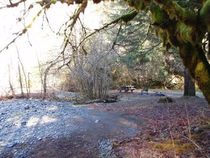 HARD ROCK CAMPGROUND photo 4
