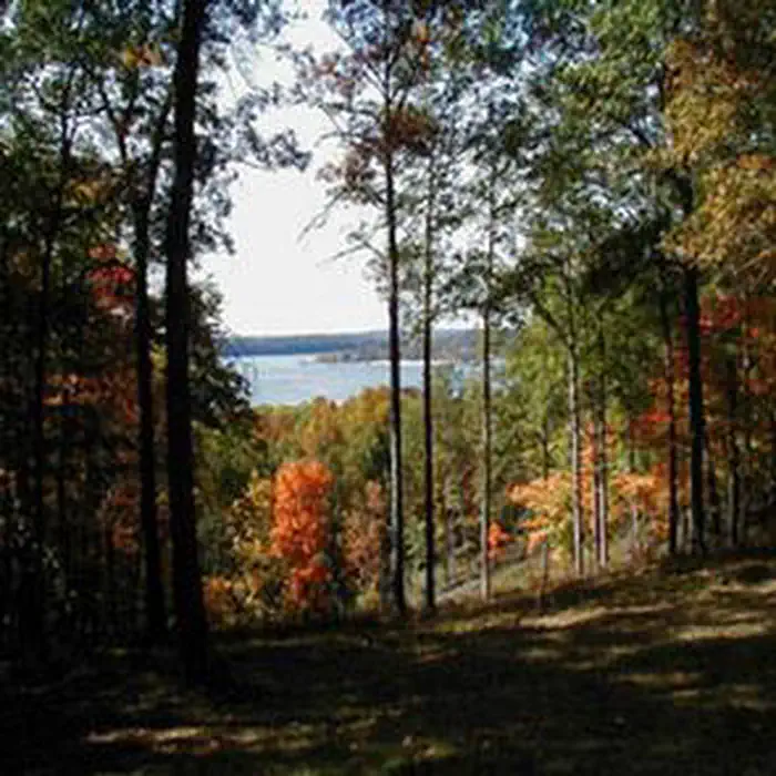 HARDIN RIDGE photo 5