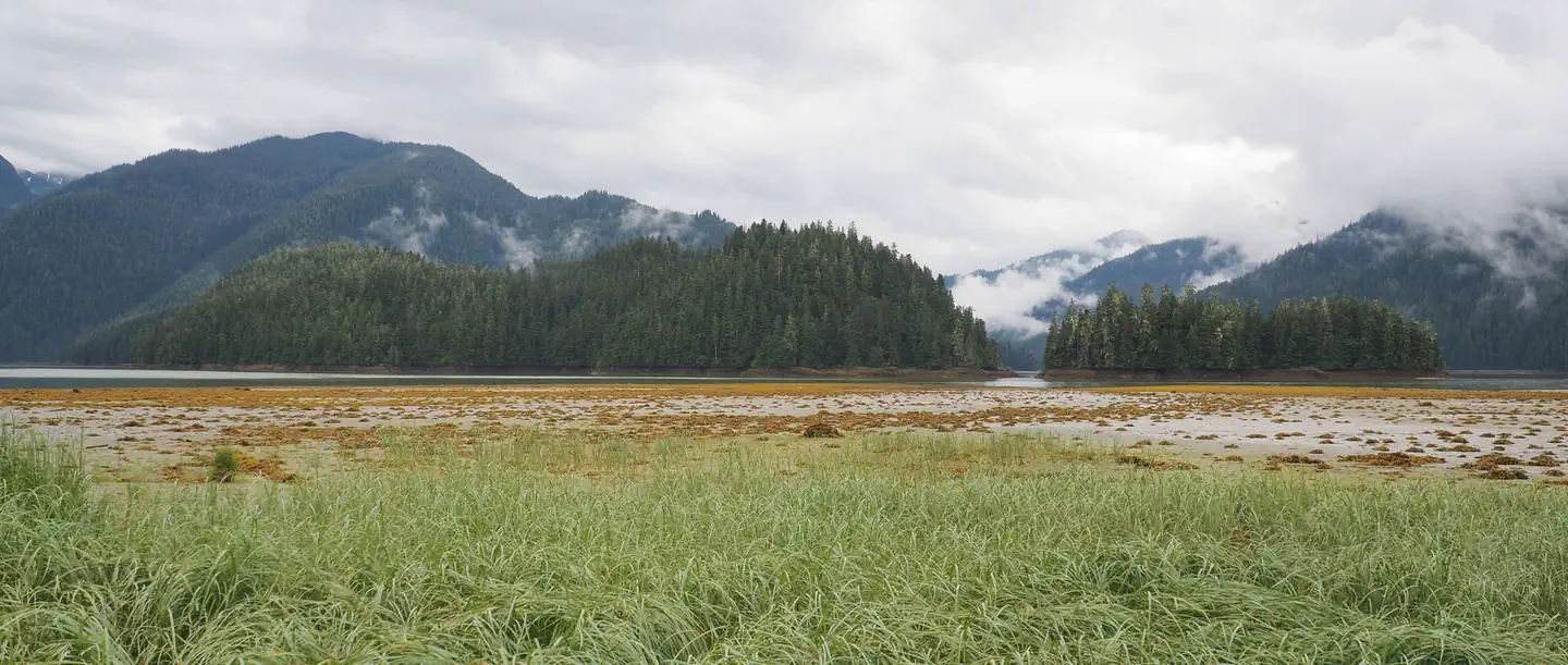 HARDING RIVER CABIN photo