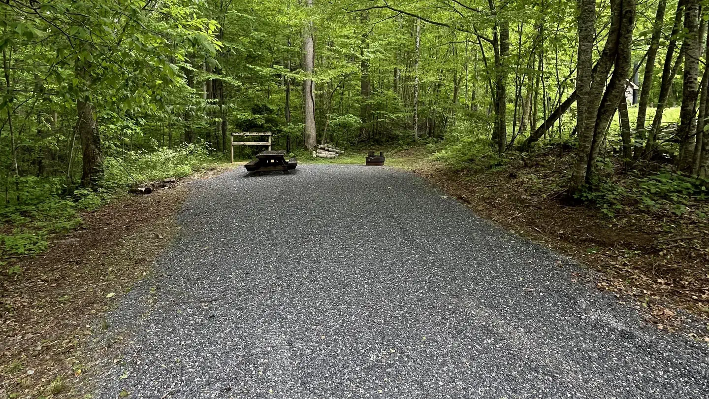 Harmon Den Campground photo