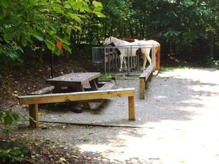 Harmon Den Campground photo 5
