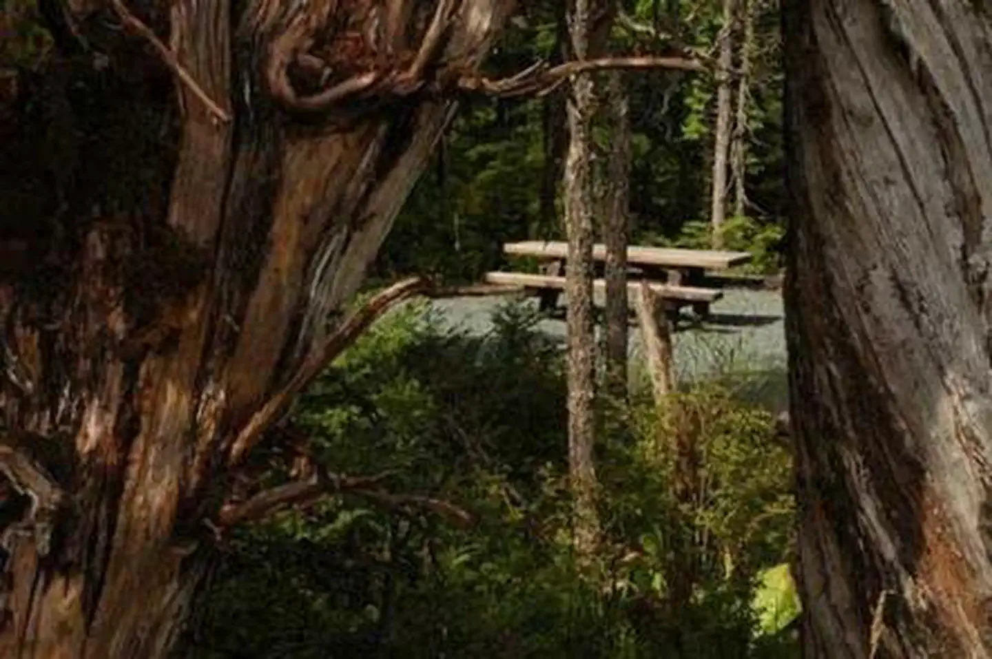 HARRIS RIVER CAMPGROUND photo