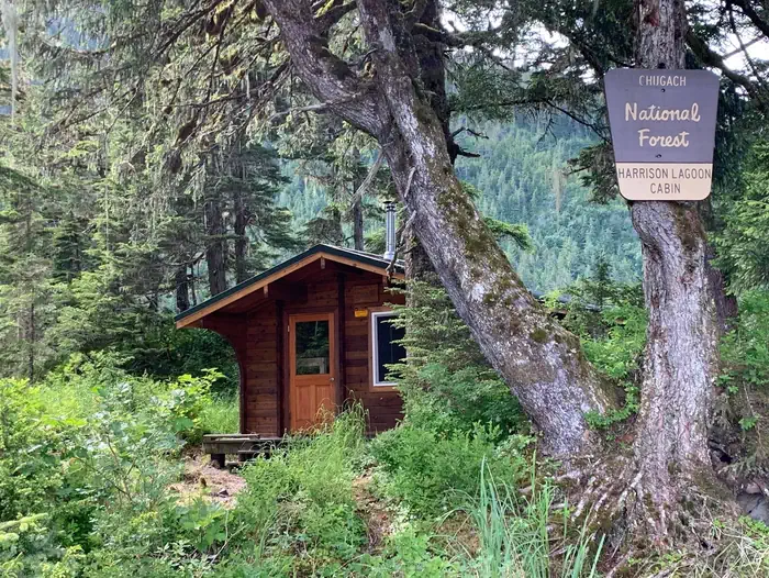 HARRISON LAGOON CABIN photo 5