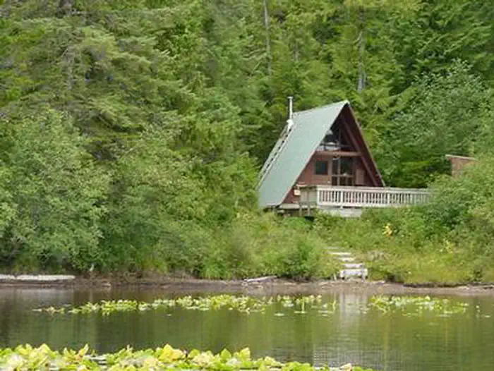 HARVEY LAKE CABIN photo 3