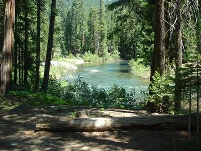 HARVEY WEST CABIN photo 4