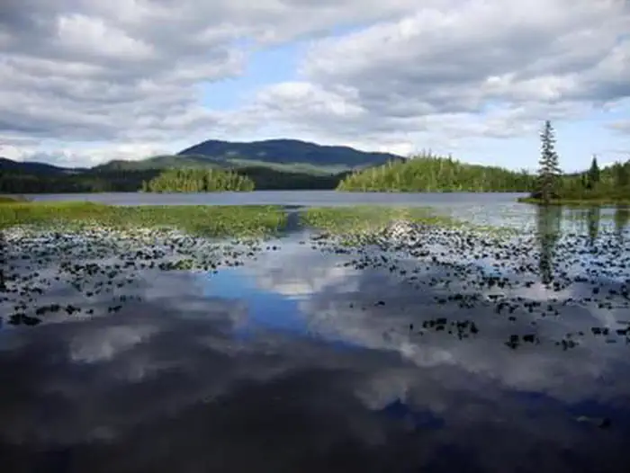 HASSELBORG CREEK CABIN photo 2