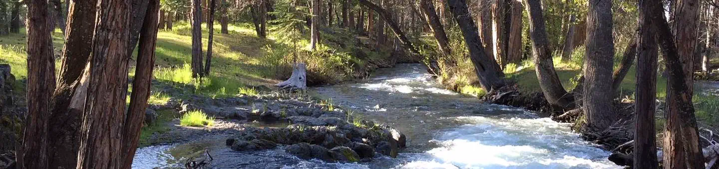 HAT CREEK photo
