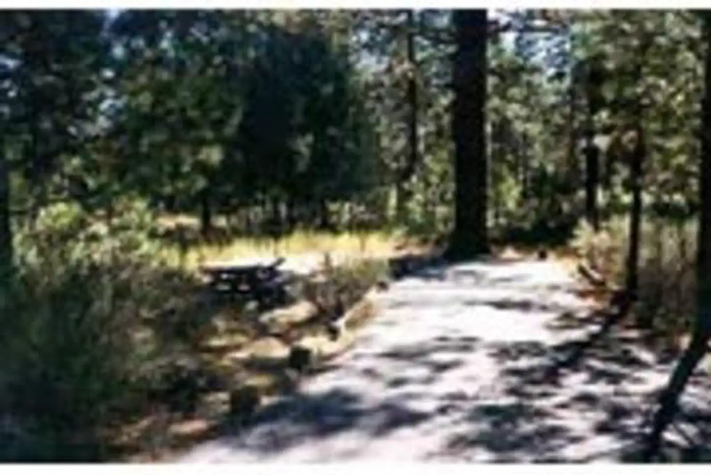 HAT CREEK photo 5