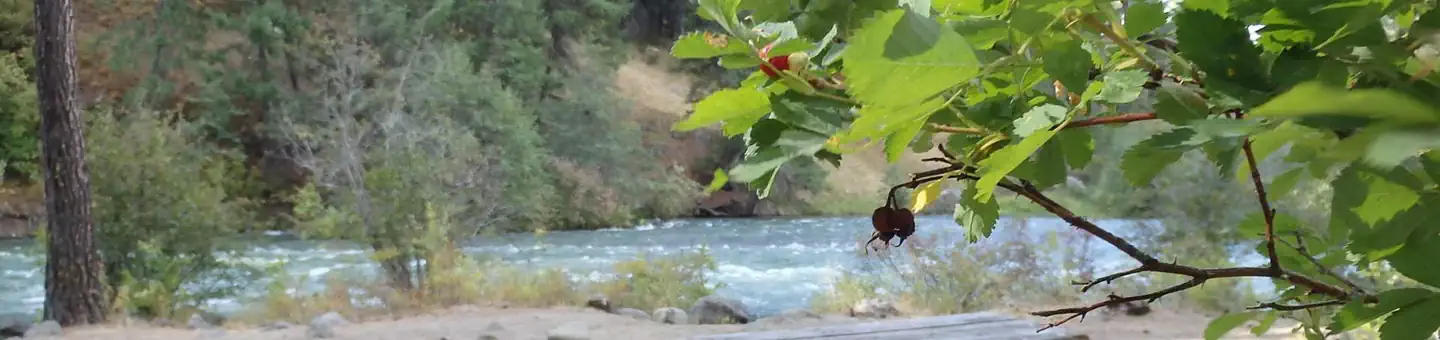 Hause Creek Campground photo