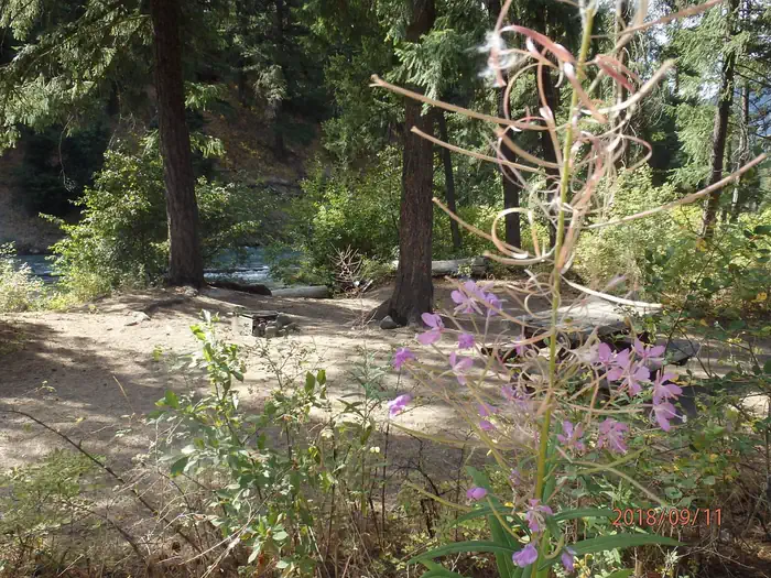 Hause Creek Campground photo 3