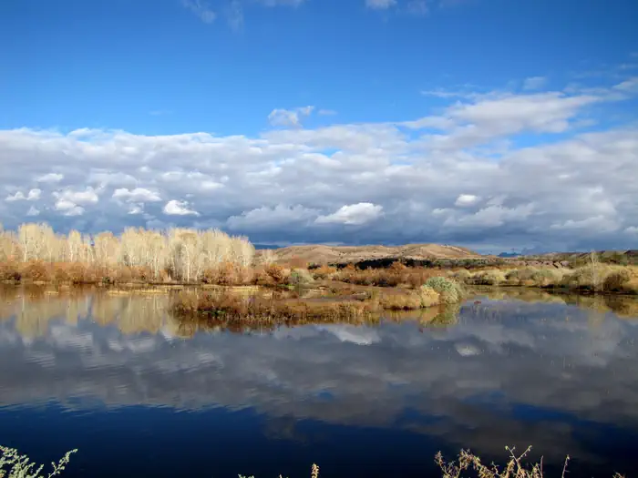 Havasu NWR Waterfowl Hunt - Pintail Slough Management Area photo 2