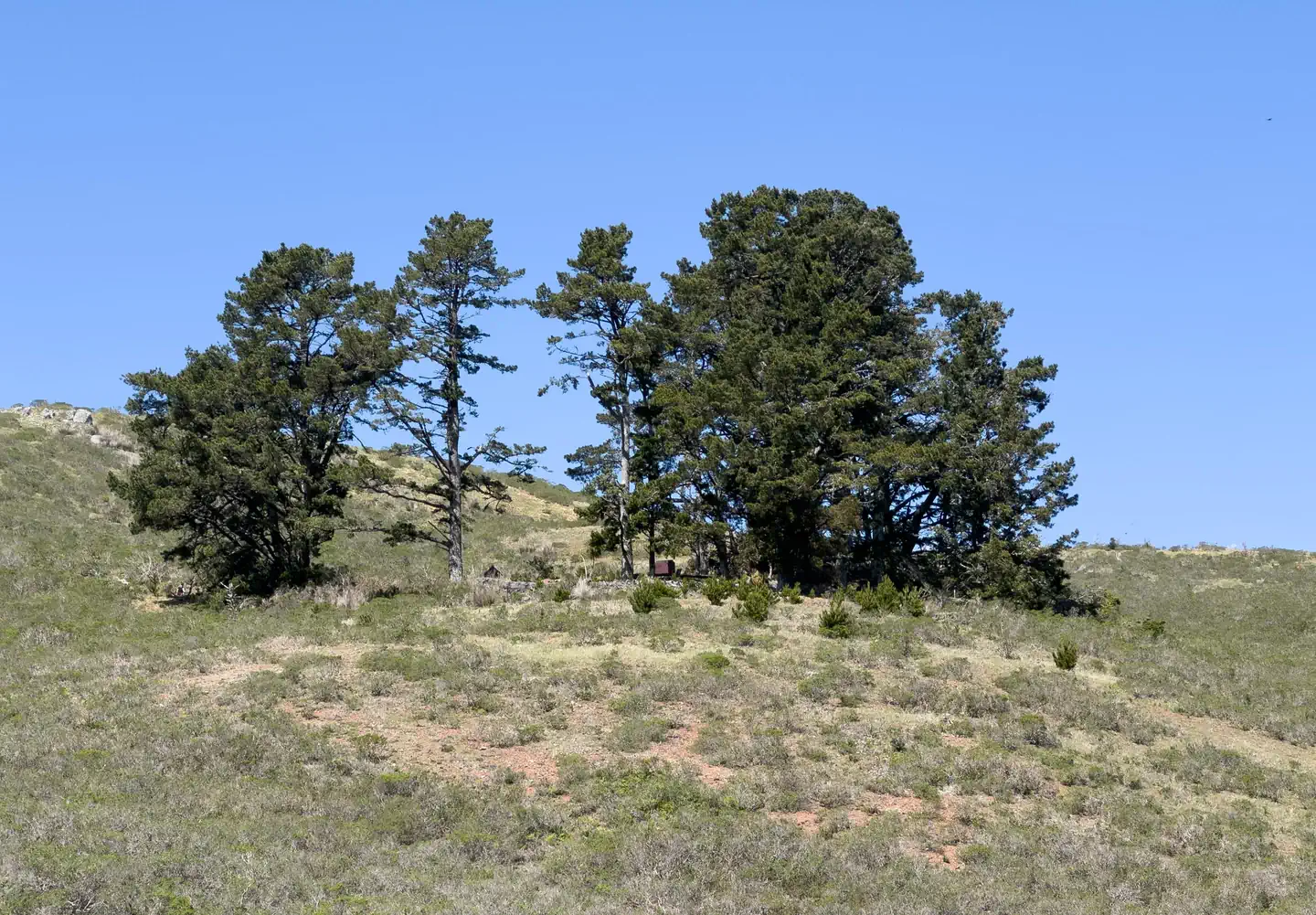 Hawk Campground photo 3